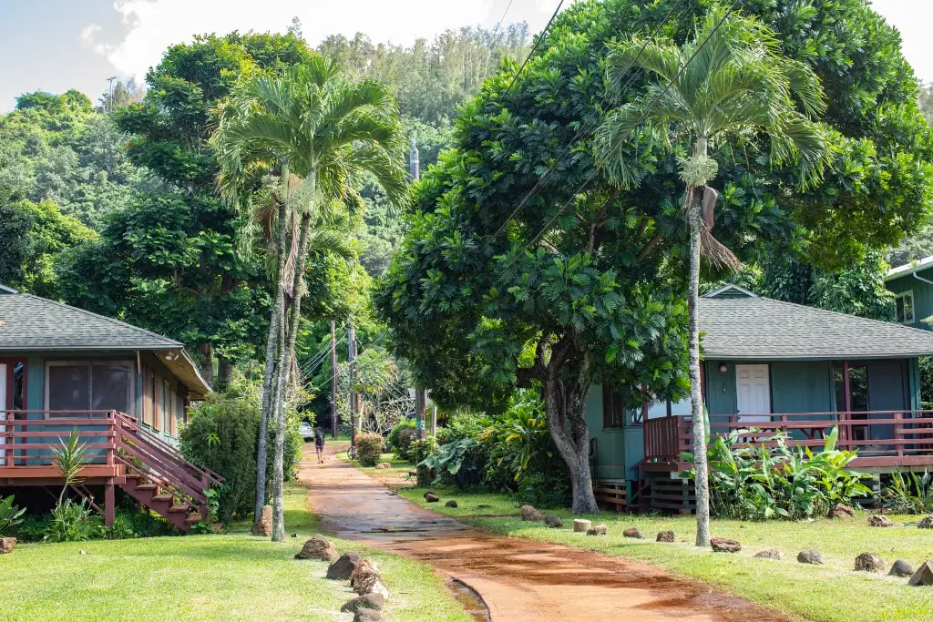 Oahu for Backpackers