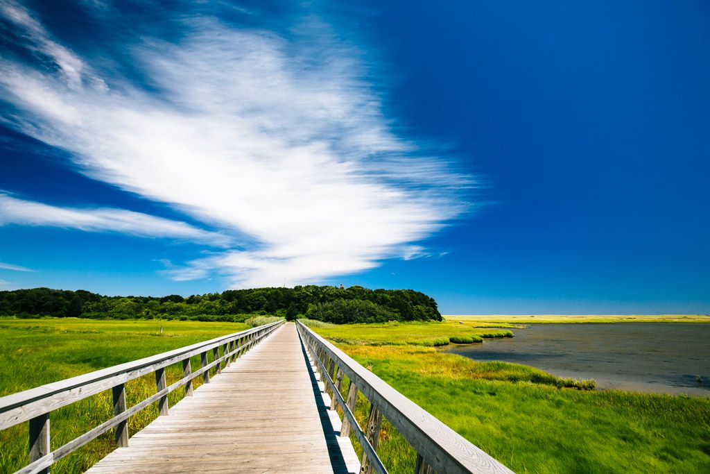 Cape Cod Rail Trail
