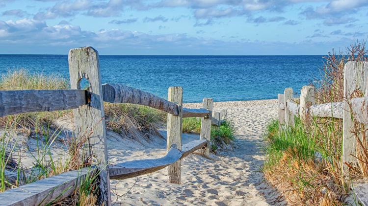 Cape Cod